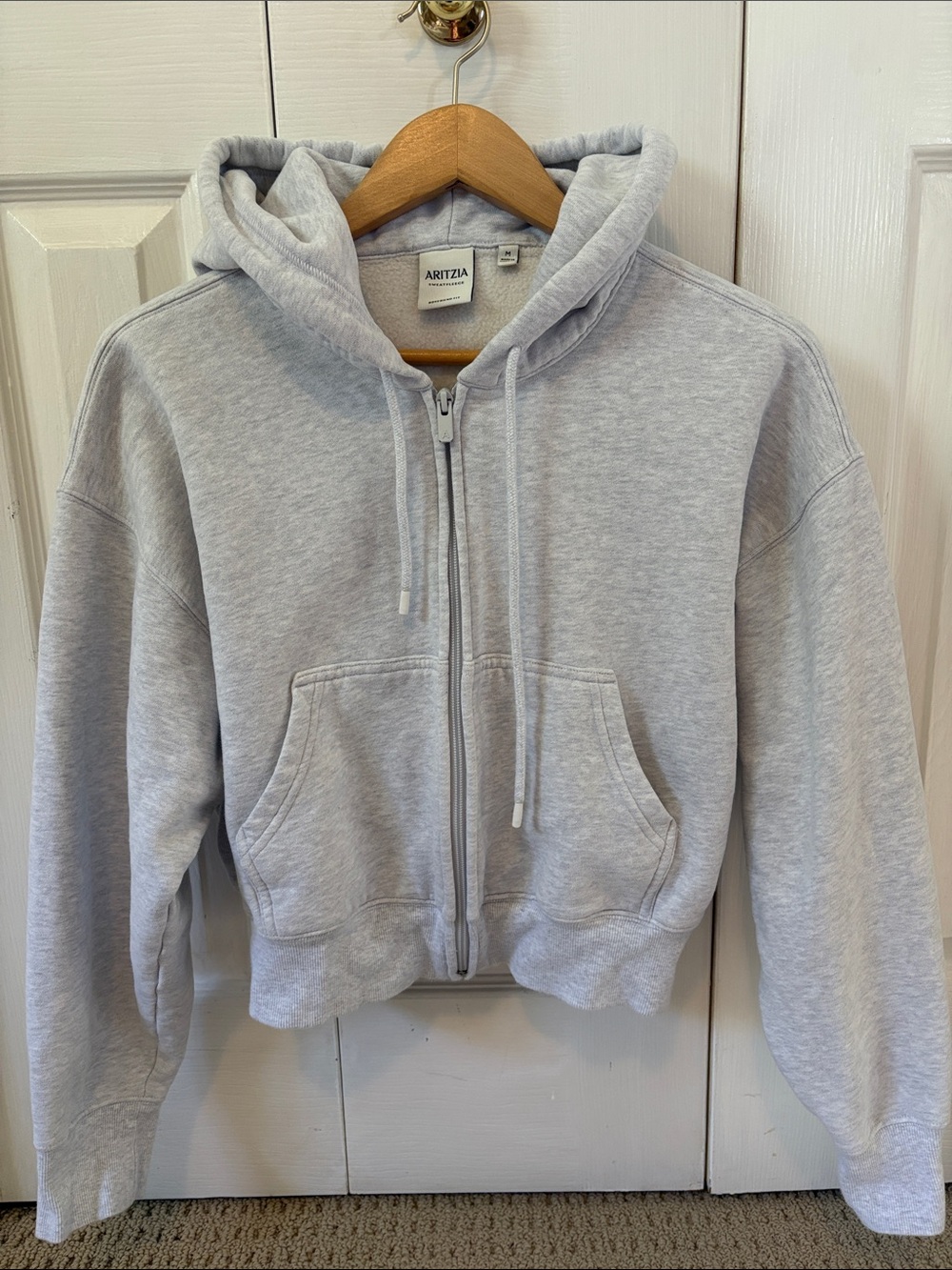 Aritzia Light Gray Full-Zip Hooded Sweatshirt